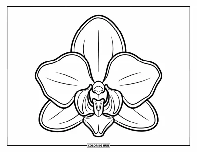 Hawaiianisches Blumen-Ausmalbild für Kinder: Einzelne Orchideenblüte mit drei runden Blütenblättern und weit geöffneter Form