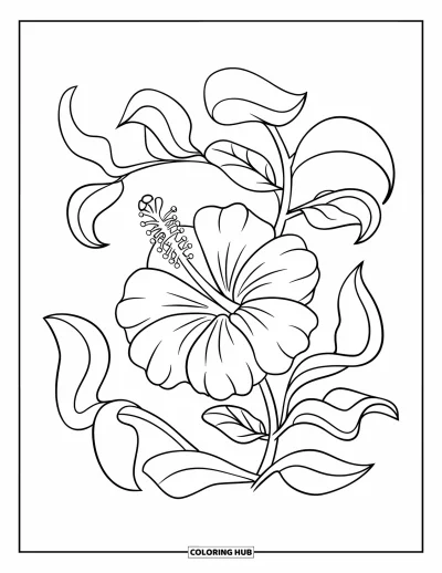 Hawaiianisches Blumen-Ausmalbild für Kinder: Kleine Hibiskusblüte mit gebogenen Blättern in einem klaren, schlichten Design