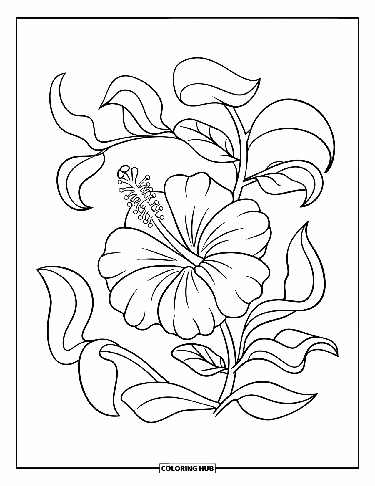 Hawaiian Flower Coloring Page for Kids: Small hibiscus flower with curved leaves in a clean, simple layout