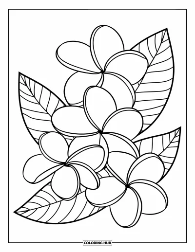Hawaiianisches Blumen-Ausmalbild für Kinder: Drei übereinandergestapelte Plumeria-Blüten mit Blättern in einem klaren Design