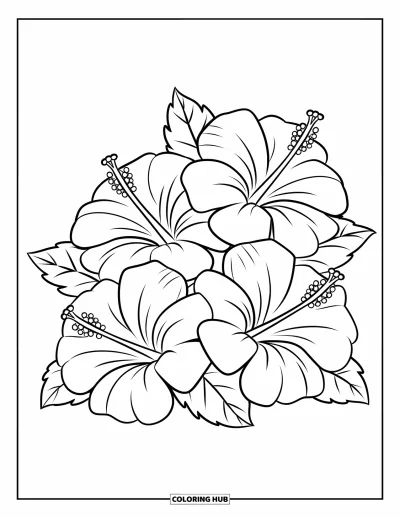 Hawaiianisches Blumen-Ausmalbild für Kinder: Drei Hibiskusblüten bilden ein sanftes Dreieck mit kräftigen, geschwungenen Blütenblättern