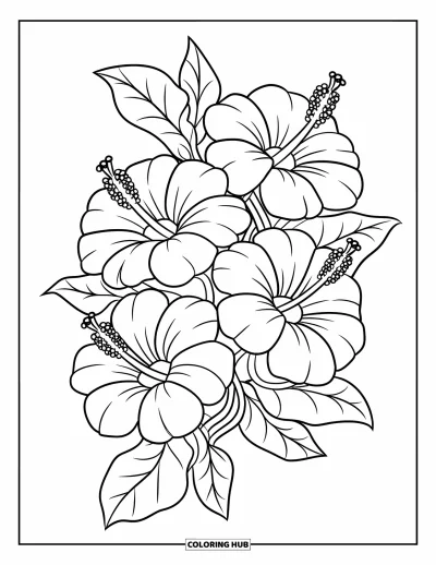 Hawaiianisches Blumen-Ausmalbild für Kinder: Drei Hibiskusblüten mit verbundenen Stielen und Blattakzenten