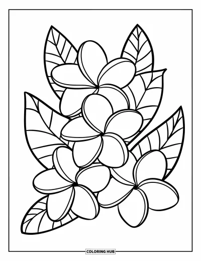 Hawaiianisches Blumen-Ausmalbild für Kinder: Drei Plumeria-Blüten in diagonaler Anordnung mit geschwungenen Blattakzenten