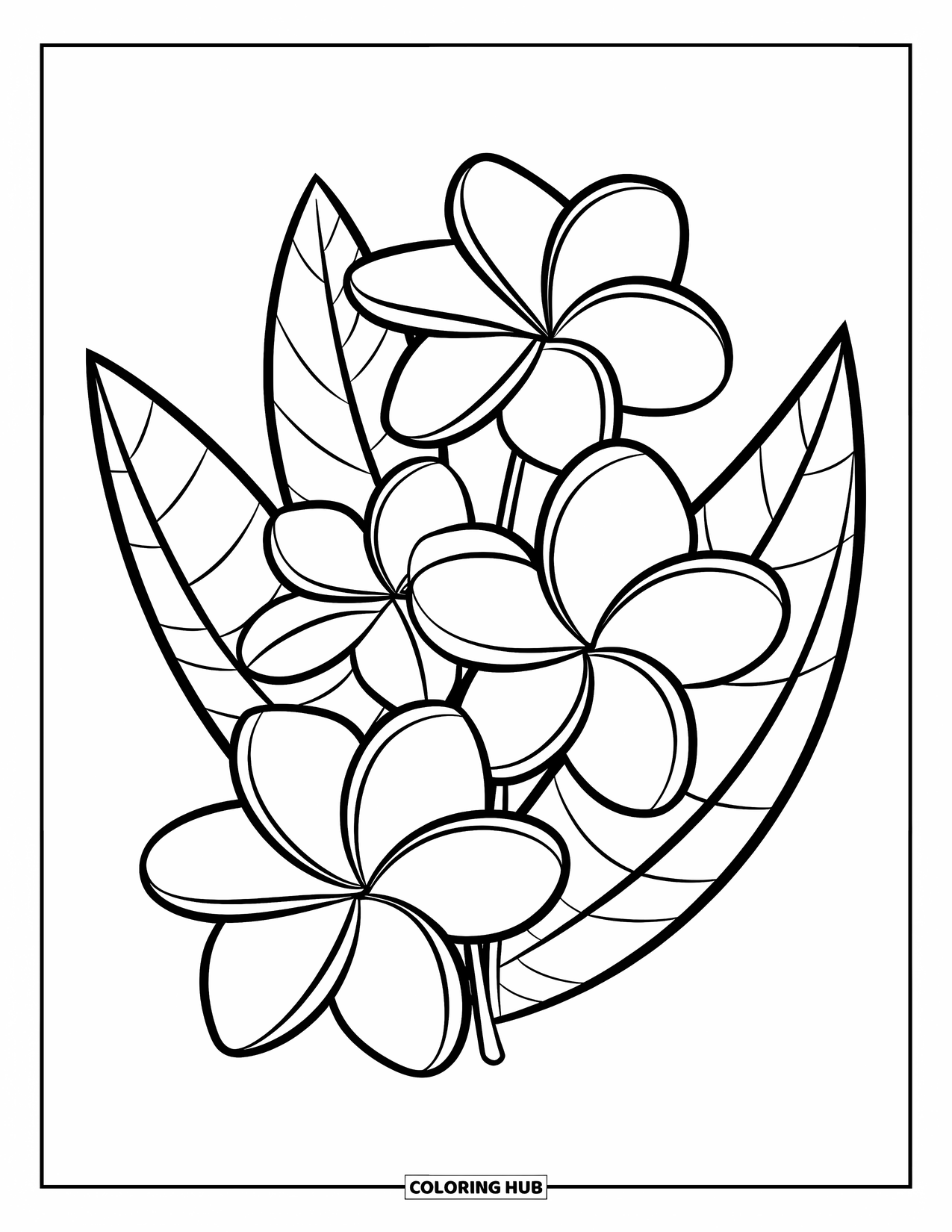 Hawaiian Flower Coloring Page for Kids: Three plumeria flowers stacked diagonally with curved leafy accents