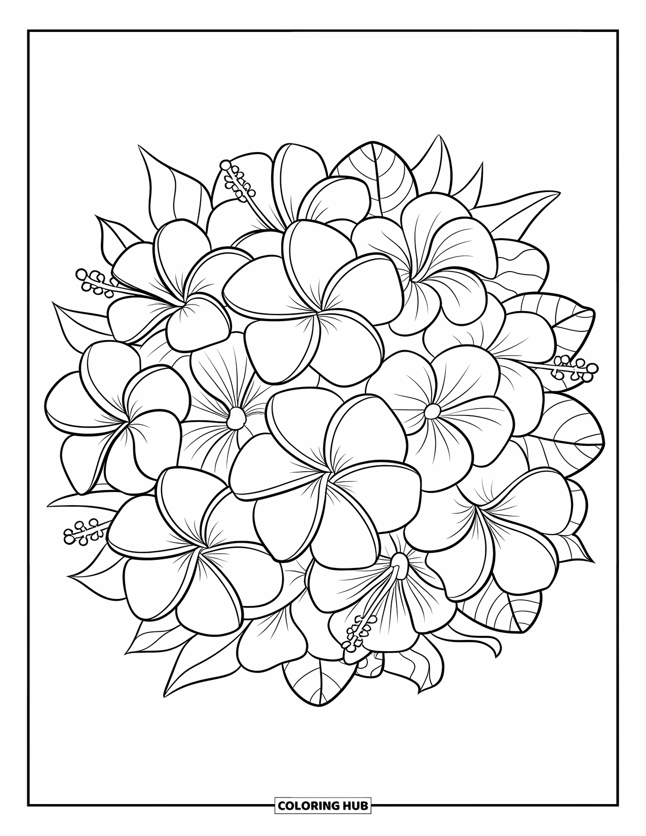 Hawaiian Flower Coloring Page for Kids: Tropical flowers form a round bouquet with clean, layered petals