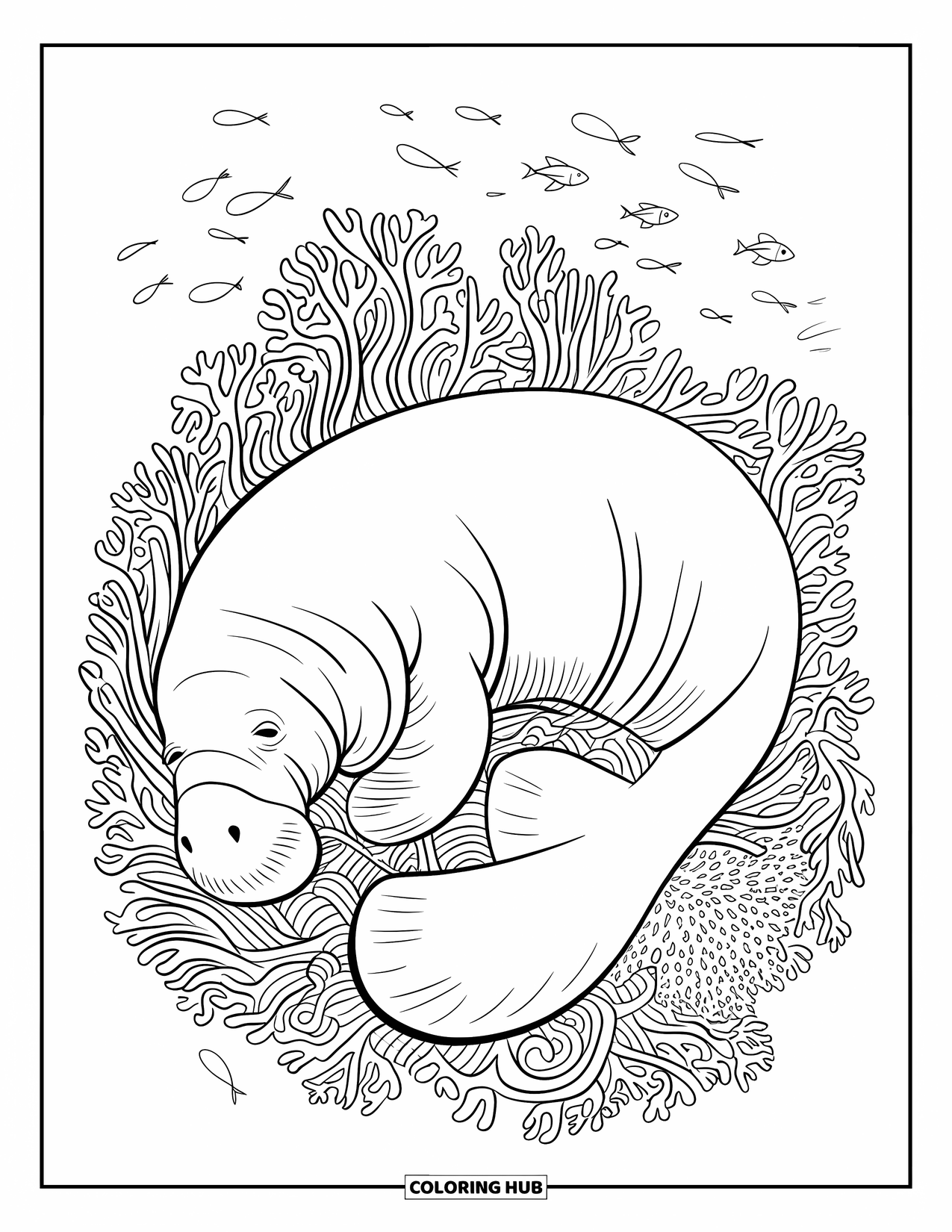 Manatee Coloring Page for Adults: Manatee rests in coral swirls beneath fish and sea plants