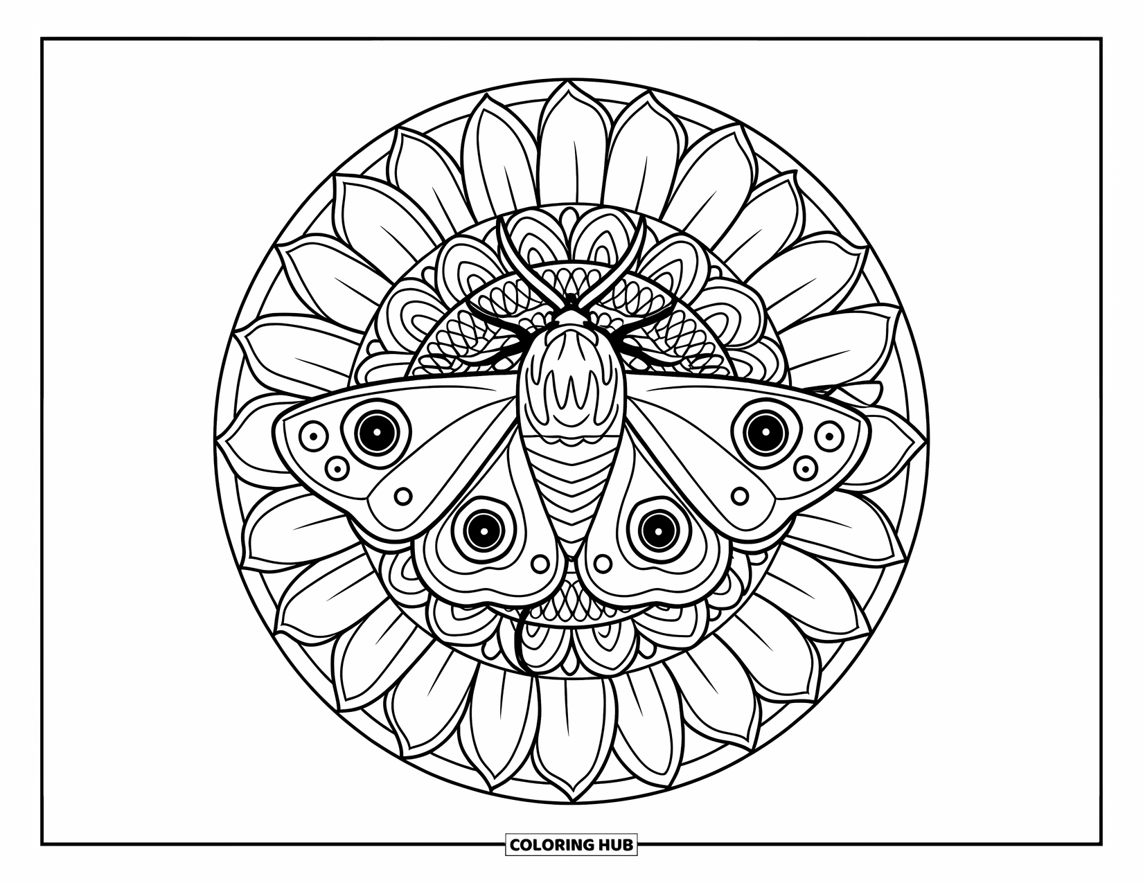 Moth Coloring Page for Adults: A moth perches on a sunflower mandala filled with intricate floral patterns