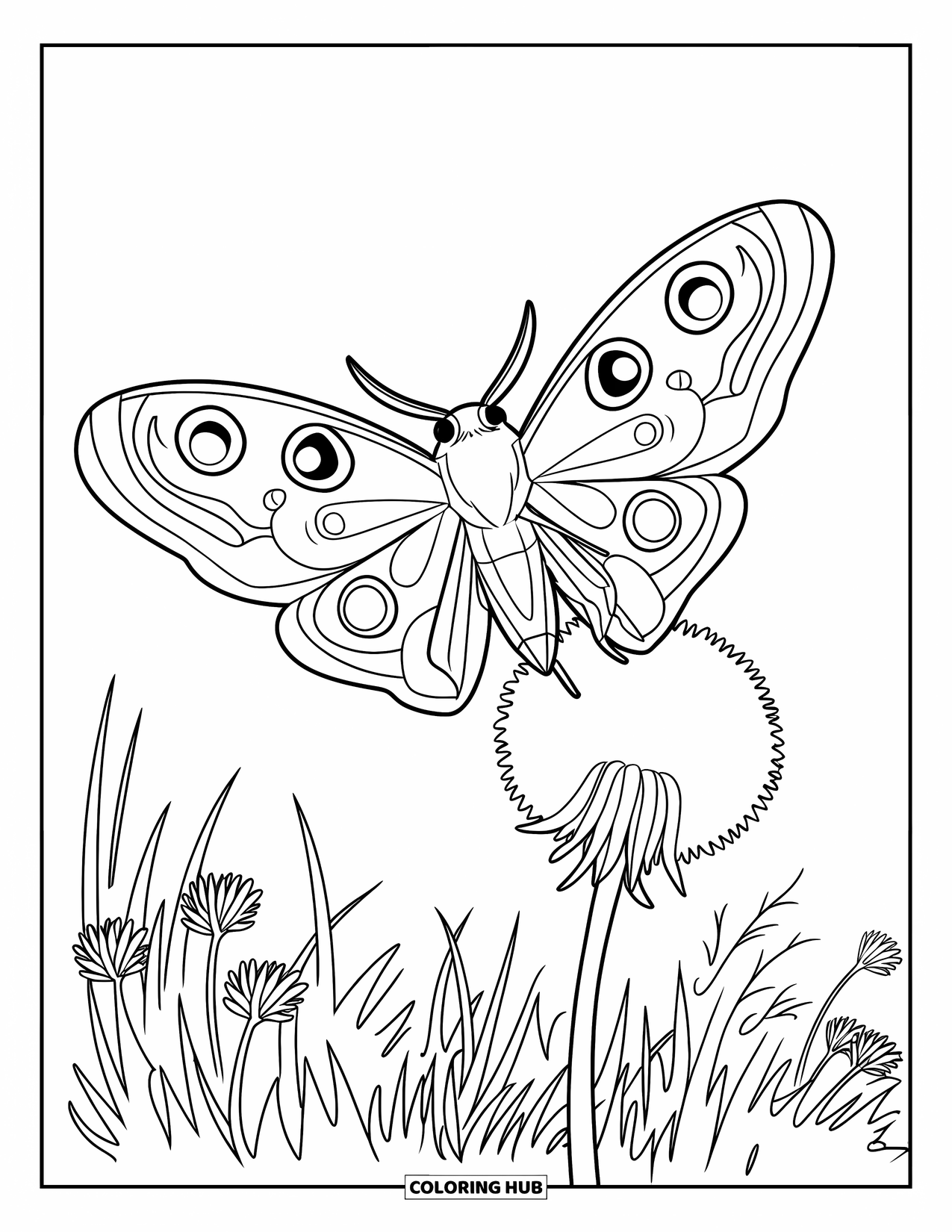 Moth Coloring Page for Kids: A big-winged moth lands on a soft dandelion in a grassy wildflower field