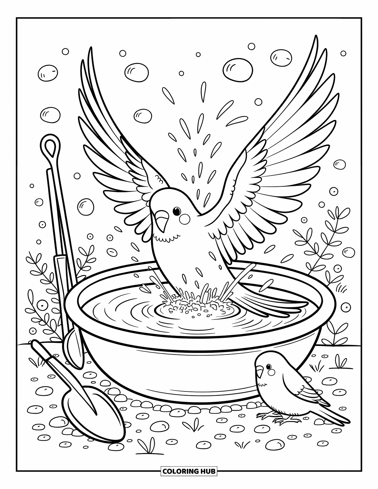 Parakeet Coloring Page for Adults: Parakeet plays in a bird bath while another bird curiously watches nearby