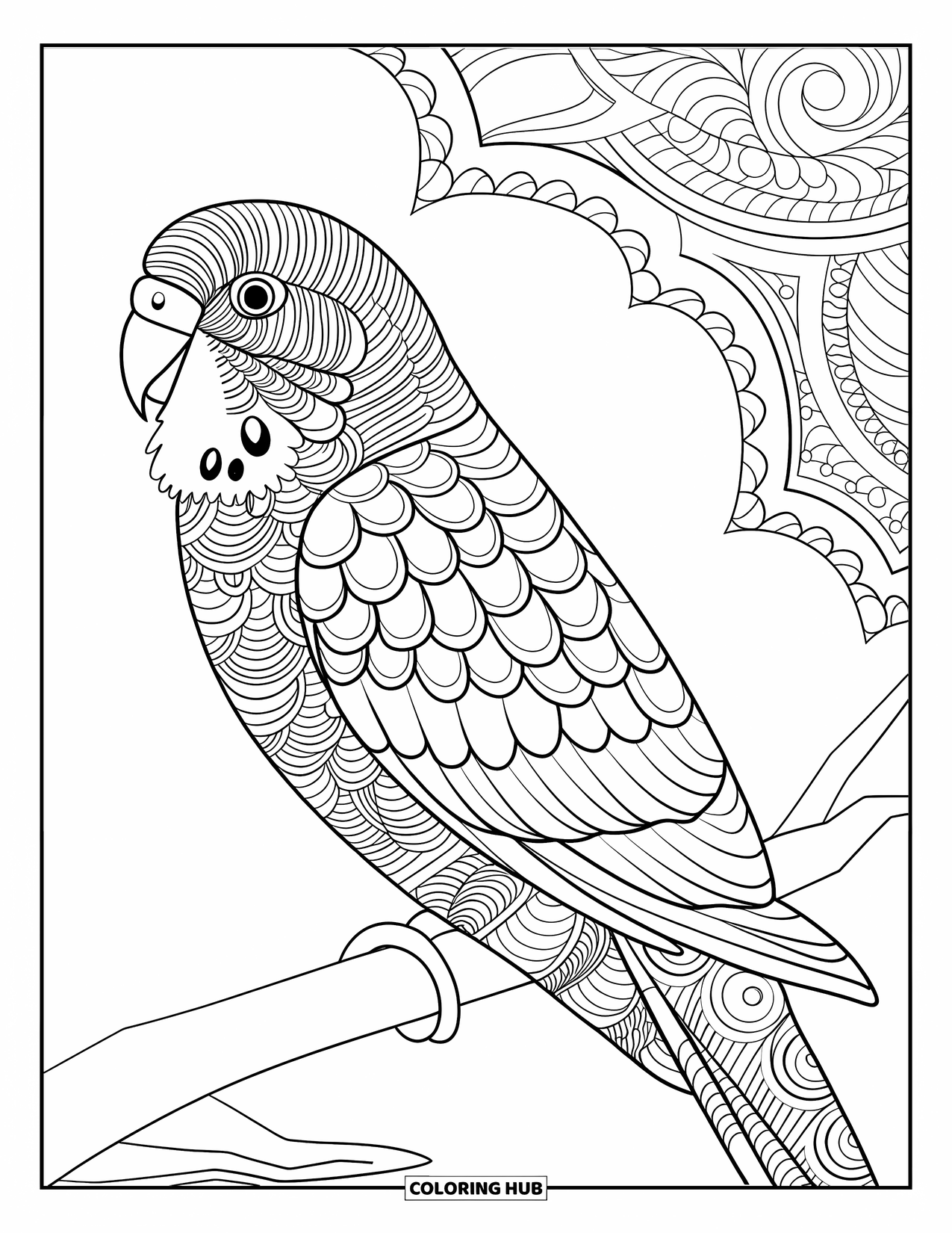 Parakeet Coloring Page for Adults: Parakeet with artistic feathers sits on a branch with an intricate background