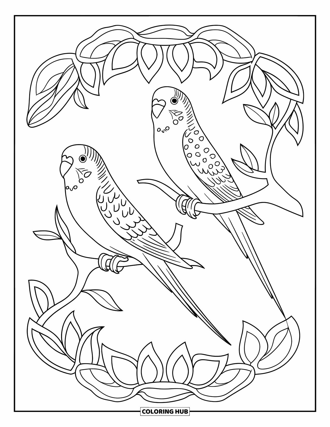 Parakeet Coloring Page for Adults: Parakeets perch on leafy branches surrounded by a delicate mandala-inspired pattern