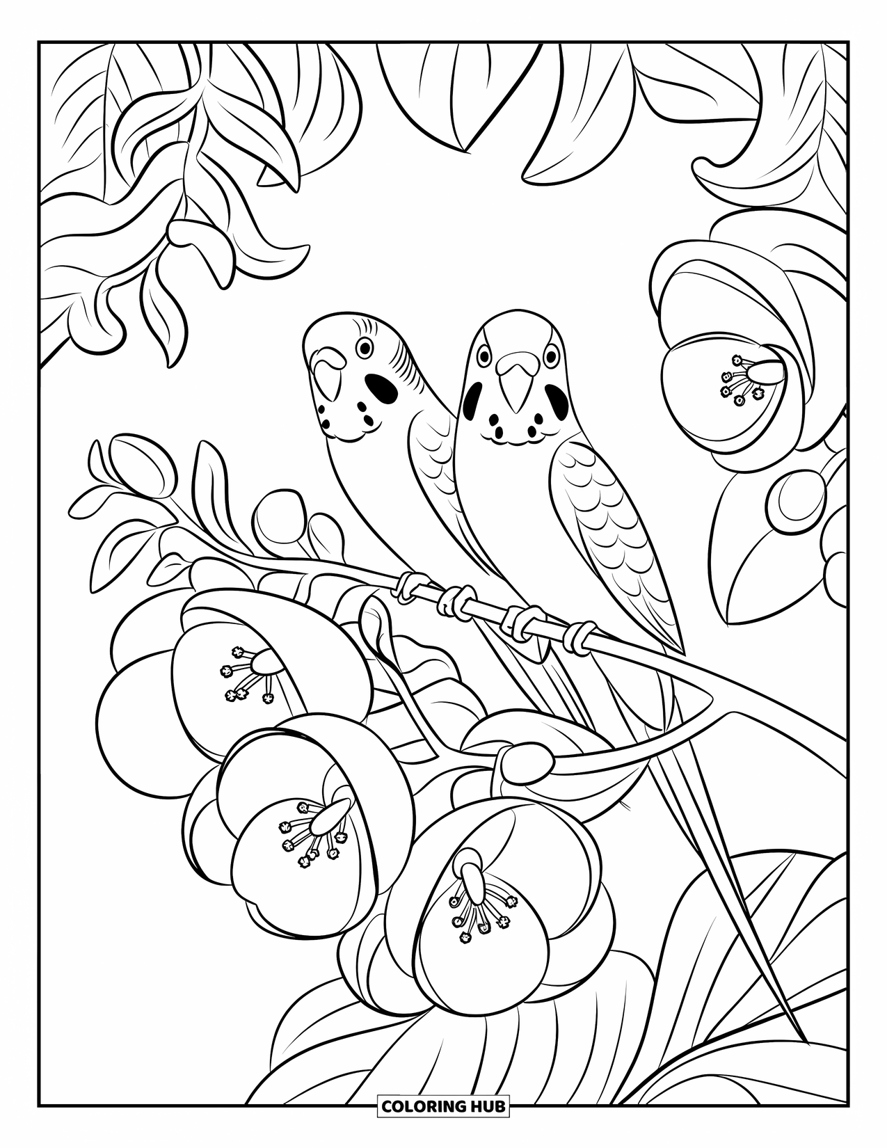 Parakeet Coloring Page for Kids: Parakeets rest on a flowered branch surrounded by large blossoms and foliage