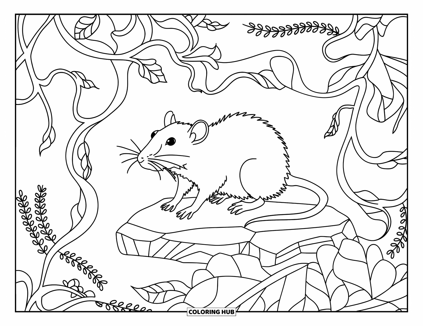 Rat Coloring Page for Adults: Rat sits peacefully on a stone framed by twisting vines and herbs