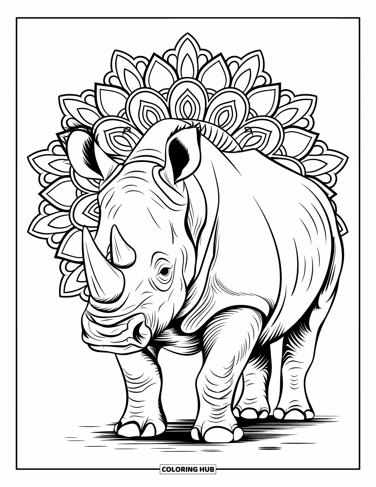 Rhino Coloring Page for Adults: Rhino with thick skin is surrounded by floral circles and petals