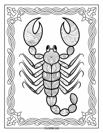 Omalovánka škorpiona pro dospělé: Škorpion se zentangle vzory po celém těle a dekorativním okrajem
