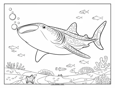 75+ Dibujos de tiburón ballena para colorear