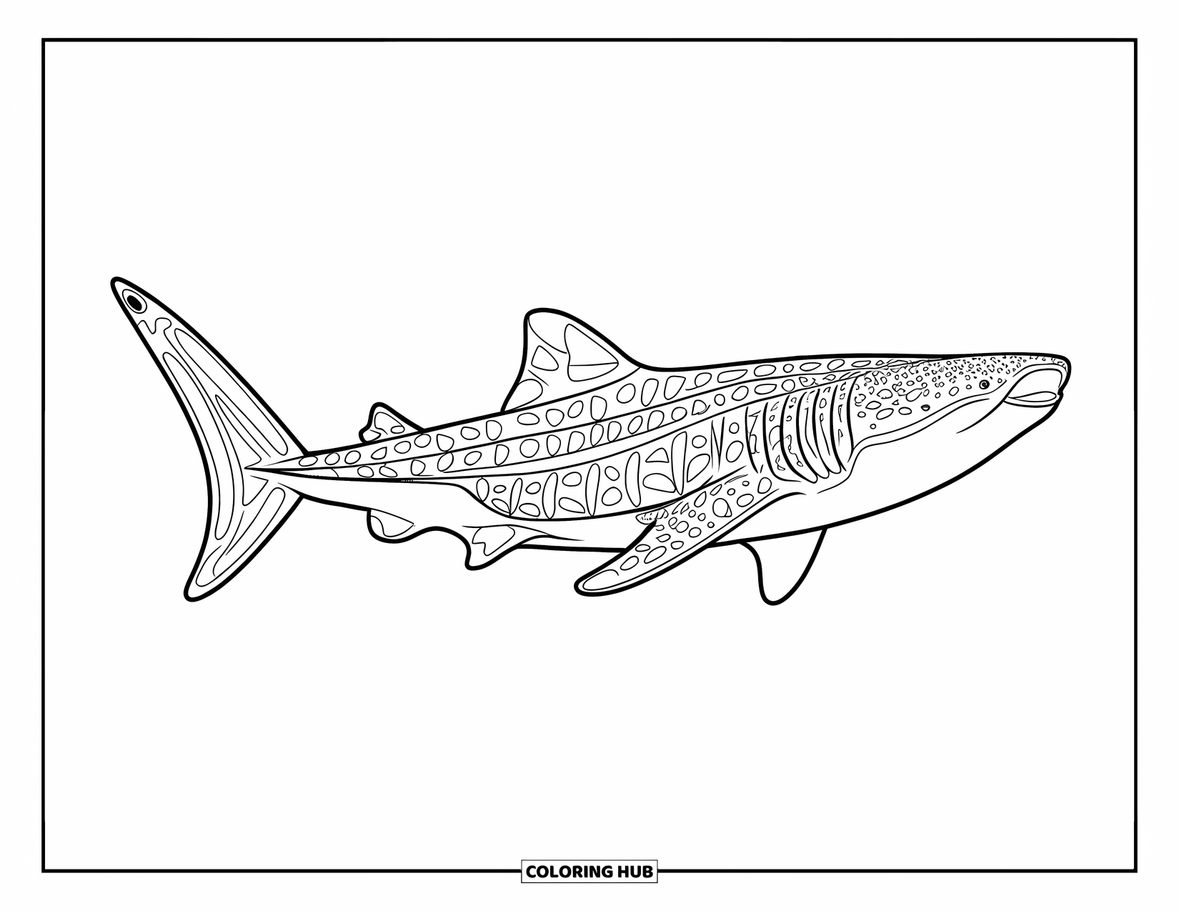 75+ Whale Shark Coloring Pages for Kids & Adults (Free Printable PDFs)