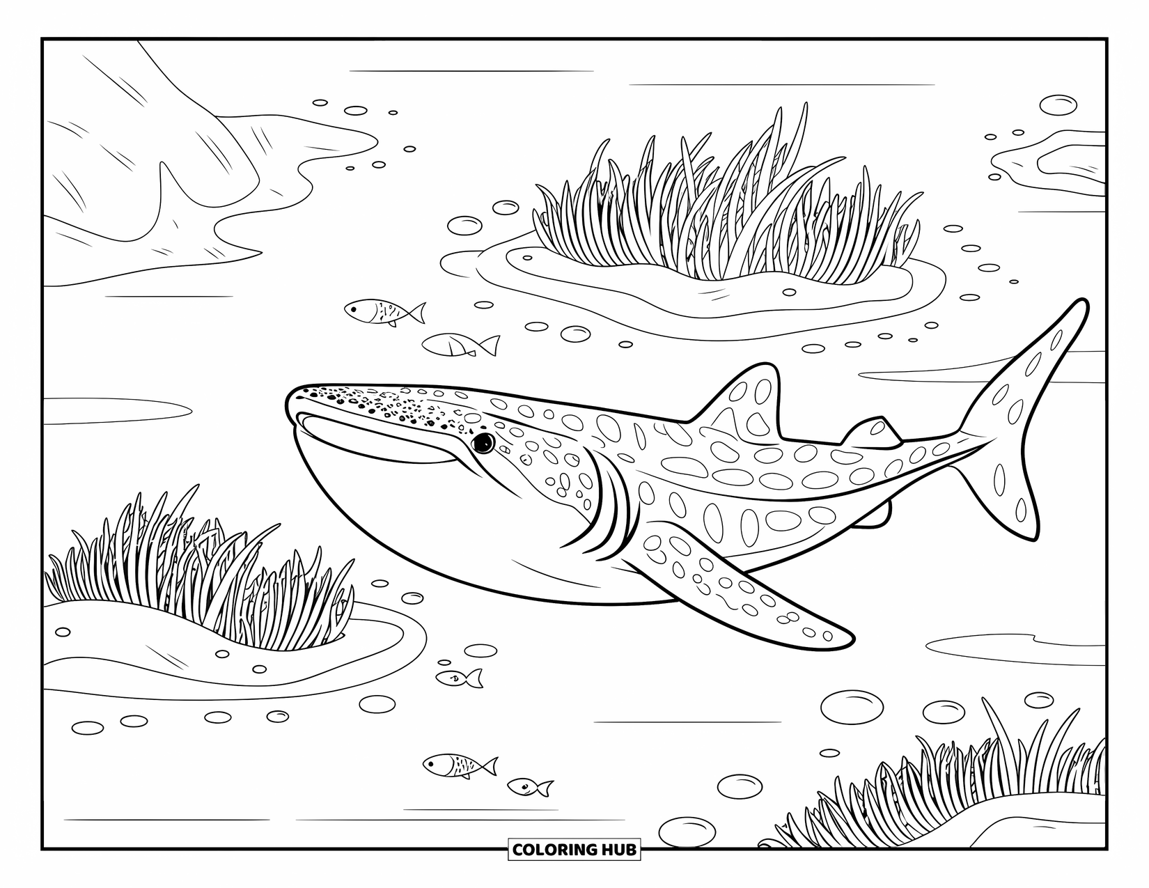 Whale Shark Coloring Page for Kids: Whale shark grins while swimming past dense seagrass and pebbles