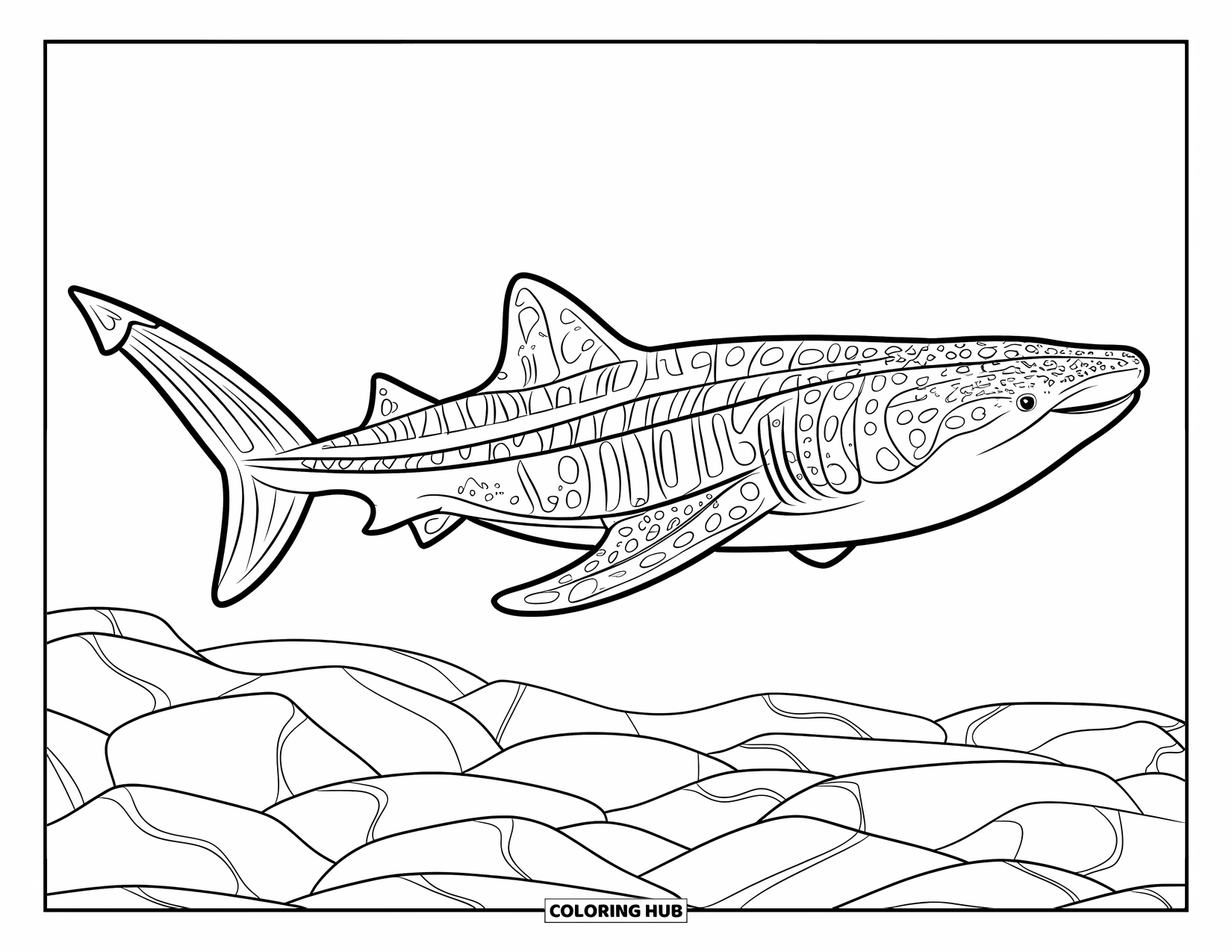 Whale Shark Coloring Page for Kids: Whale shark with open mouth swims over rocky ocean bed