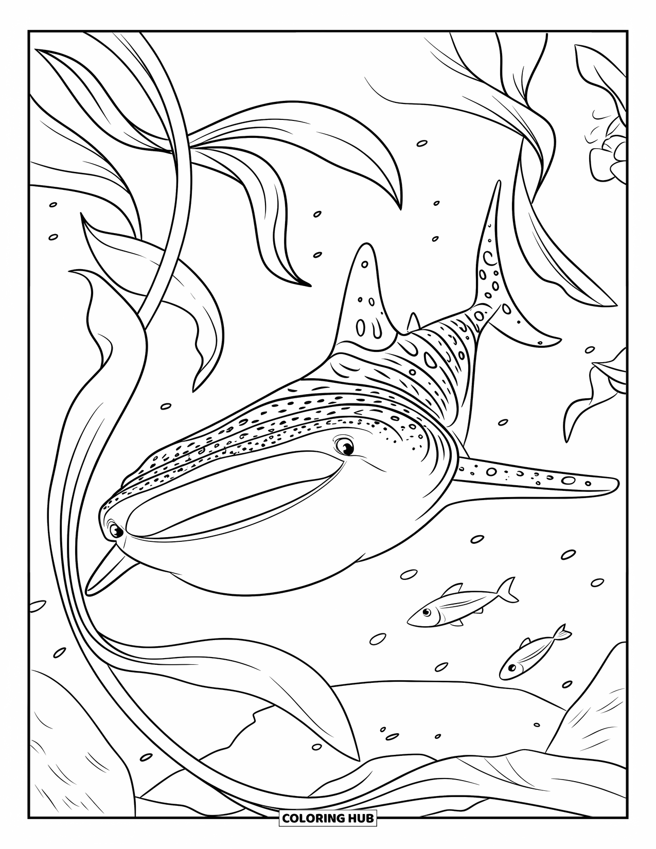 Whale Shark Coloring Page for Kids: Whale shark with wide eyes glides through kelp and fish