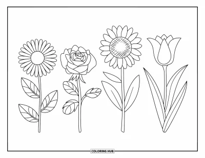 子ども向け野の花のぬりえ：デイジー・バラ・チューリップ・ひまわり・ユリなどラベル付きの花が咲き並んでいる