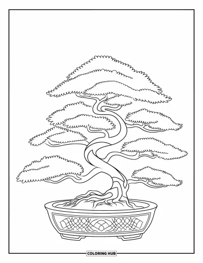 Desen de colorat zen pentru copii: Bonsai cu ramuri curbate într-un ghiveci decorativ
