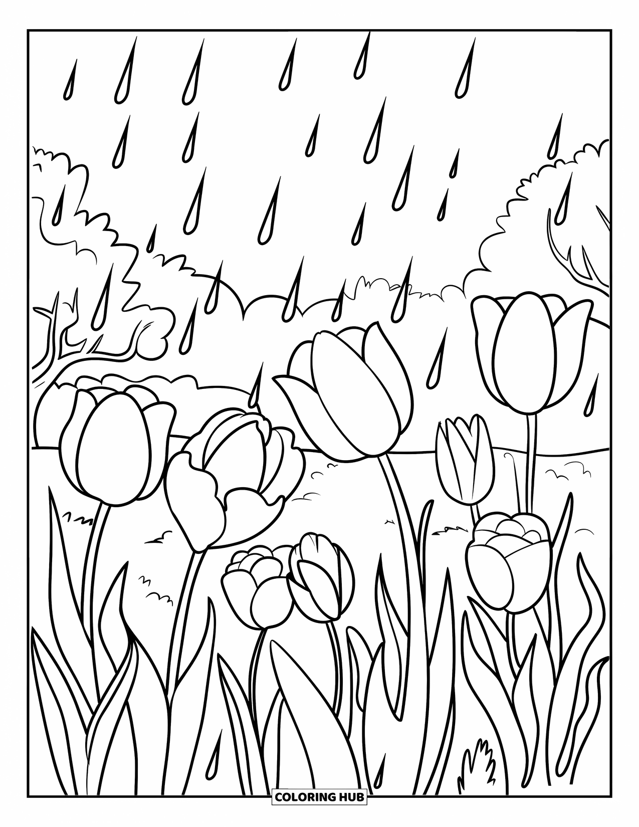 April Showers Coloring Page for Kids: Tulips with raindrops falling in a spring garden