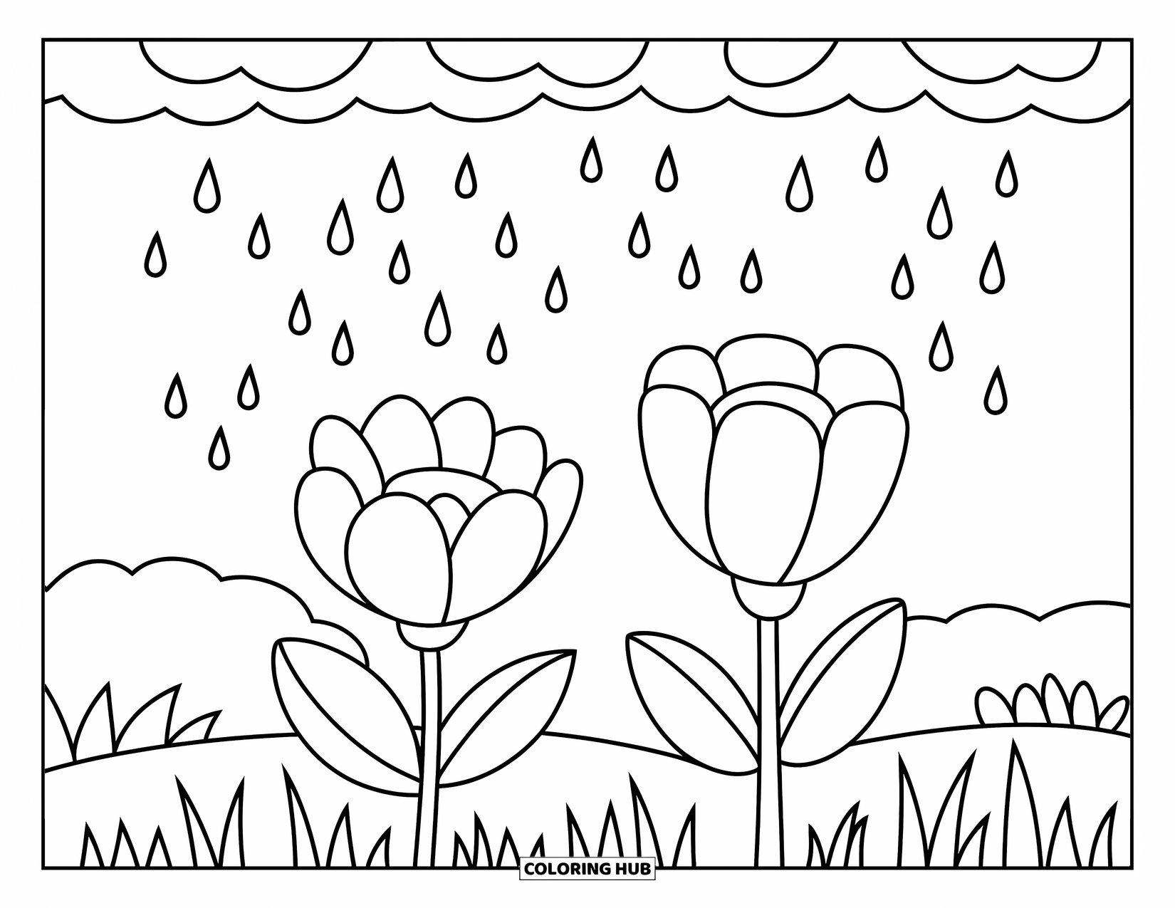 April Showers Coloring Page for Kids: Two large flowers with raindrops falling from above