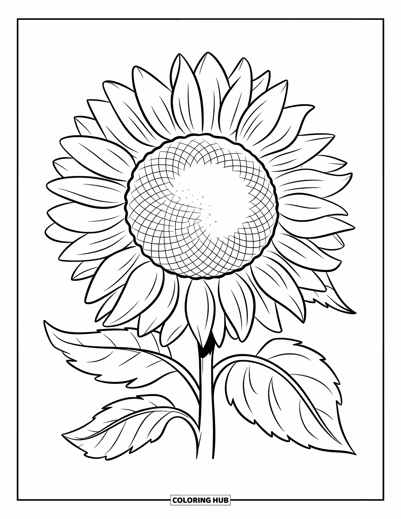 August Coloring Page for Kids: Big sunflower with clean lines and easy shapes to color