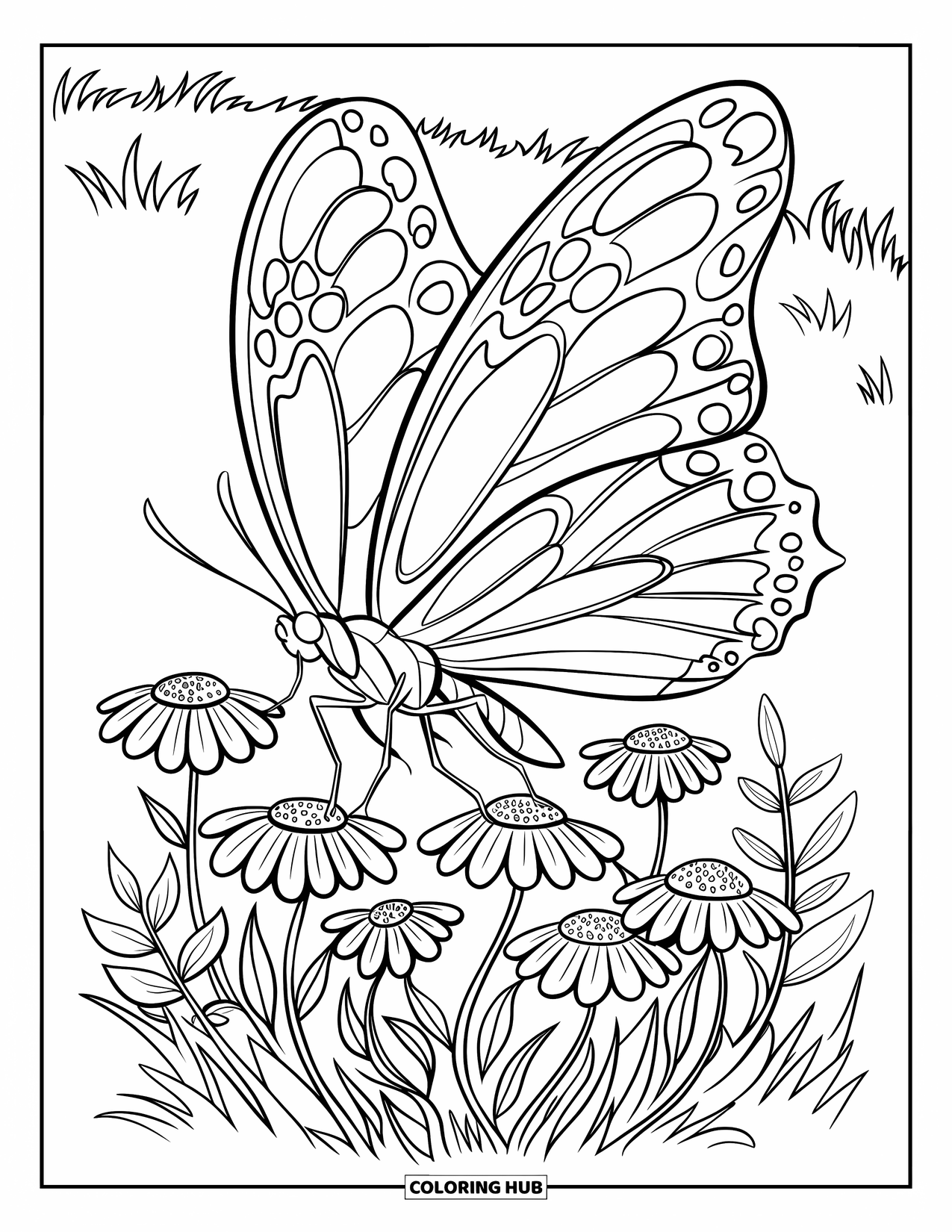 August Coloring Page for Kids: Butterfly with patterned wings above a circle of wildflowers
