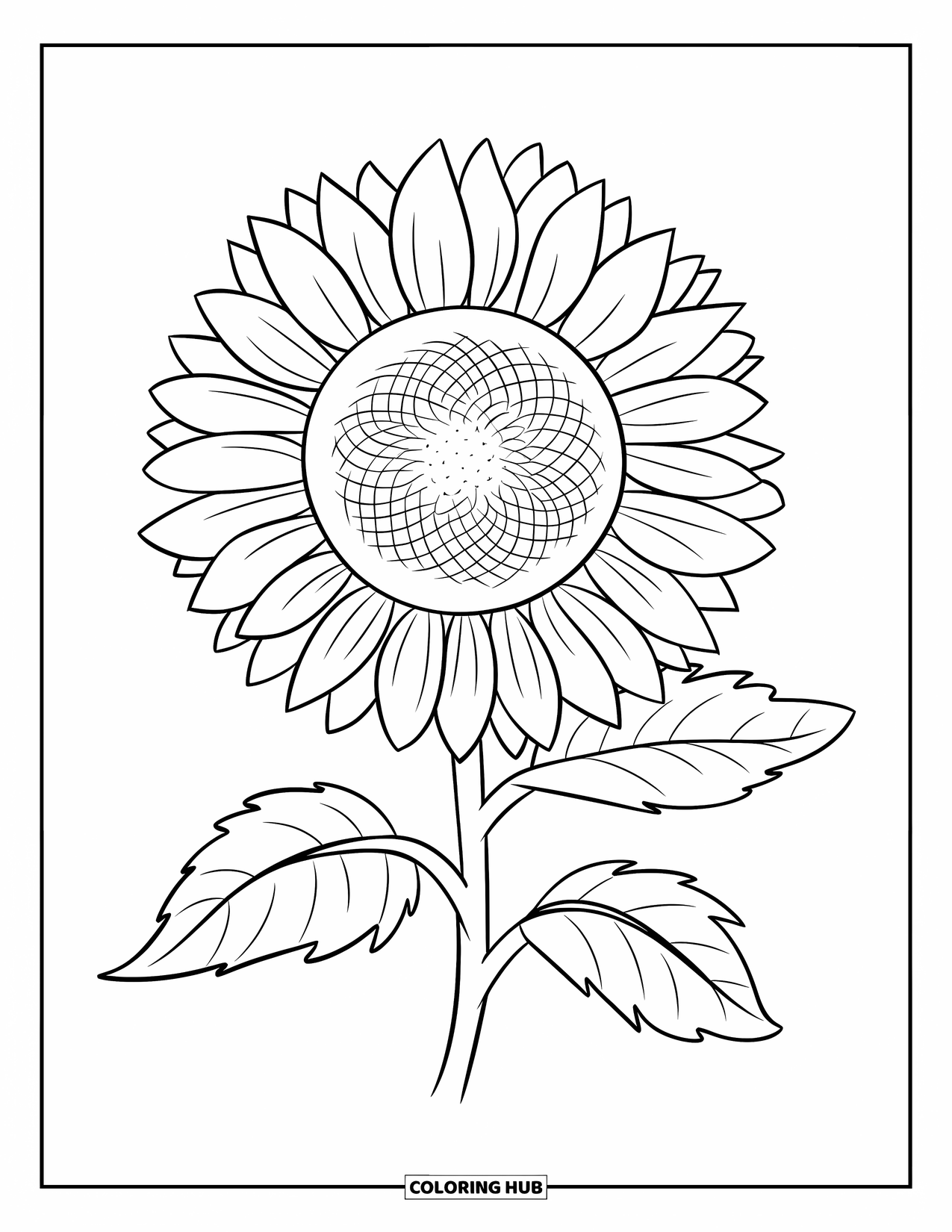 August Coloring Page for Kids: Simple sunflower with thick petals and big green leaves