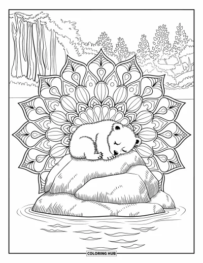 Bärenbaby-Ausmalbild für Erwachsene: Schlafendes Bärenbaby auf einem moosigen Stein in einem Wald-See-Mandala