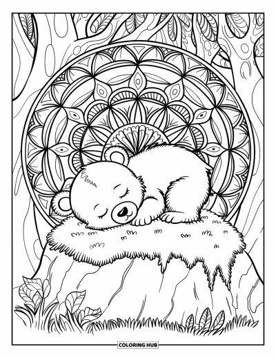 Bärenbaby-Ausmalbild für Erwachsene: Schlafendes Bärenbaby auf einem Stein in einem Wald-Mandala-Design