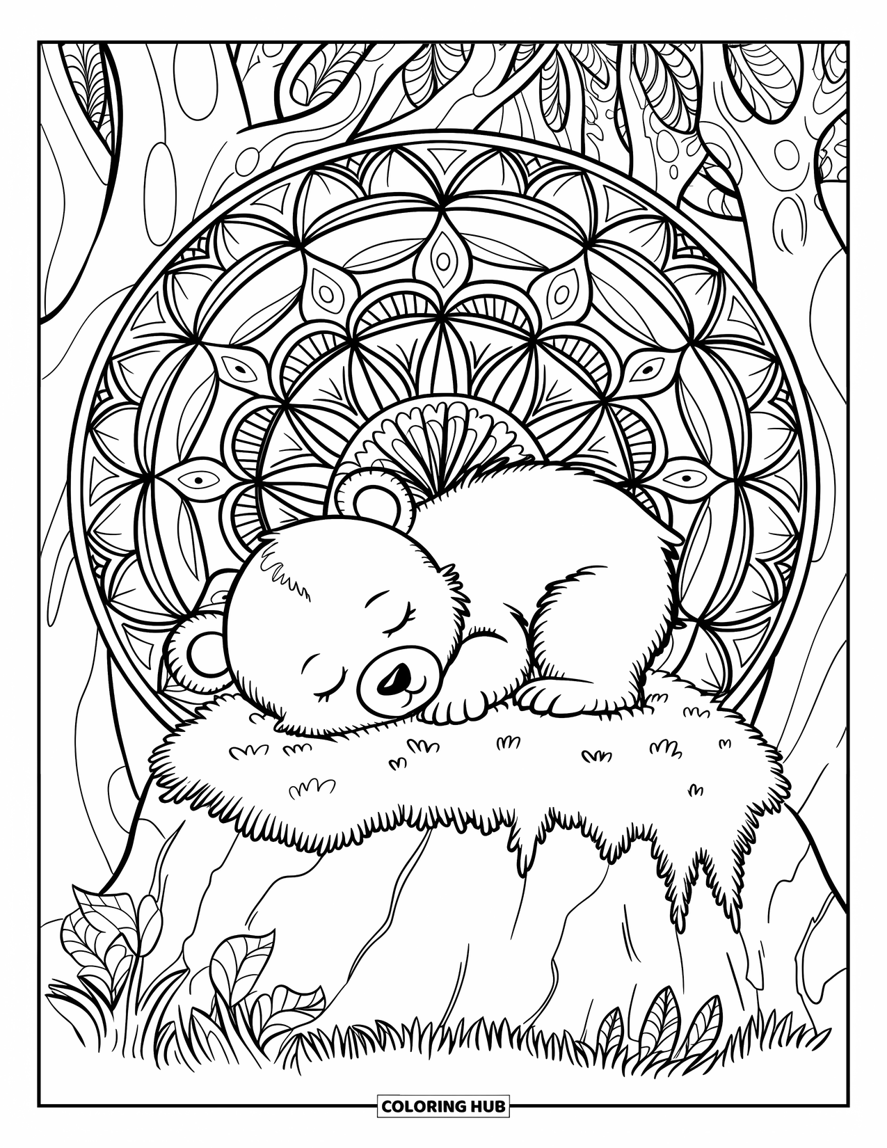 Baby Bear Coloring Page for Adults: Baby bear sleeping on a rock in a forest mandala design