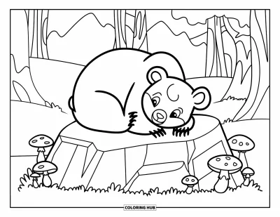 Bärenbaby-Ausmalbild für Kinder: Ein Bärenbaby rollt sich auf einem moosigen Stein in einem Wald mit Bäumen und Pilzen zusammen