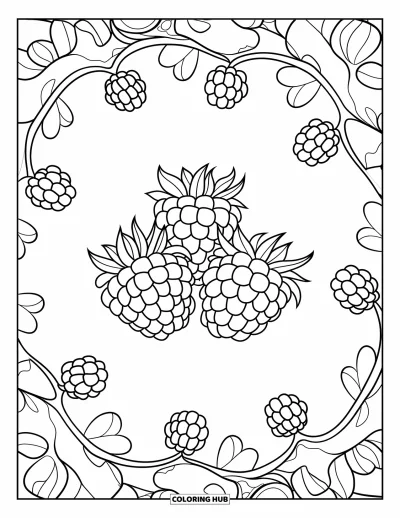 Beeren-Ausmalbild für Erwachsene: Himbeertraube mit geschwungenen Mandala-Beerenzweigen