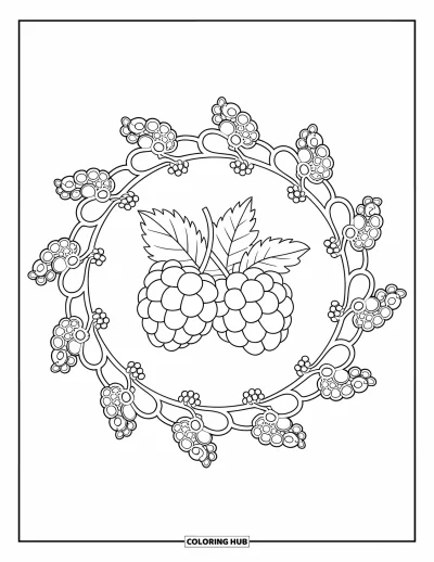Beeren-Ausmalbild für Erwachsene: Mandala aus Beerentrauben rund um eine zentrale Brombeere mit Blättern