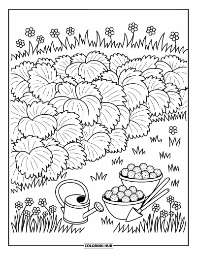 Beeren-Ausmalbild für Erwachsene: Erdbeerfeld mit Blättern, Wildblumen und gemütlichen Gartenutensilien