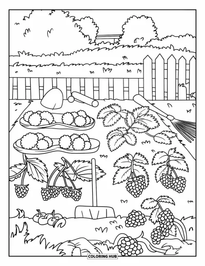 Beeren-Ausmalbild für Kinder: Beerenbeet mit Pflanzen und Gartengeräten