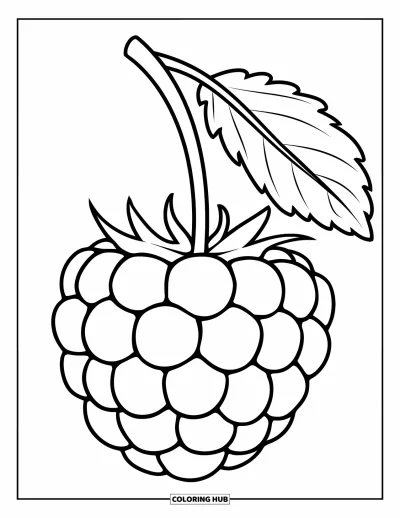 Beeren-Ausmalbild für Kinder: Große Brombeere mit dünnem Stiel und Blatt