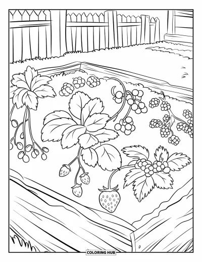 Beeren-Ausmalbild für Kinder: Gartenbeete mit Erdbeeren, Blaubeeren und Himbeerpflanzen