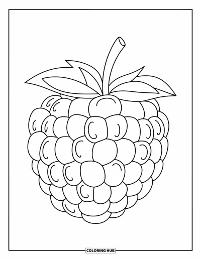 Beeren-Ausmalbild für Kinder: Zarte Boysenbeere mit verspielten Kurven und klarem Design