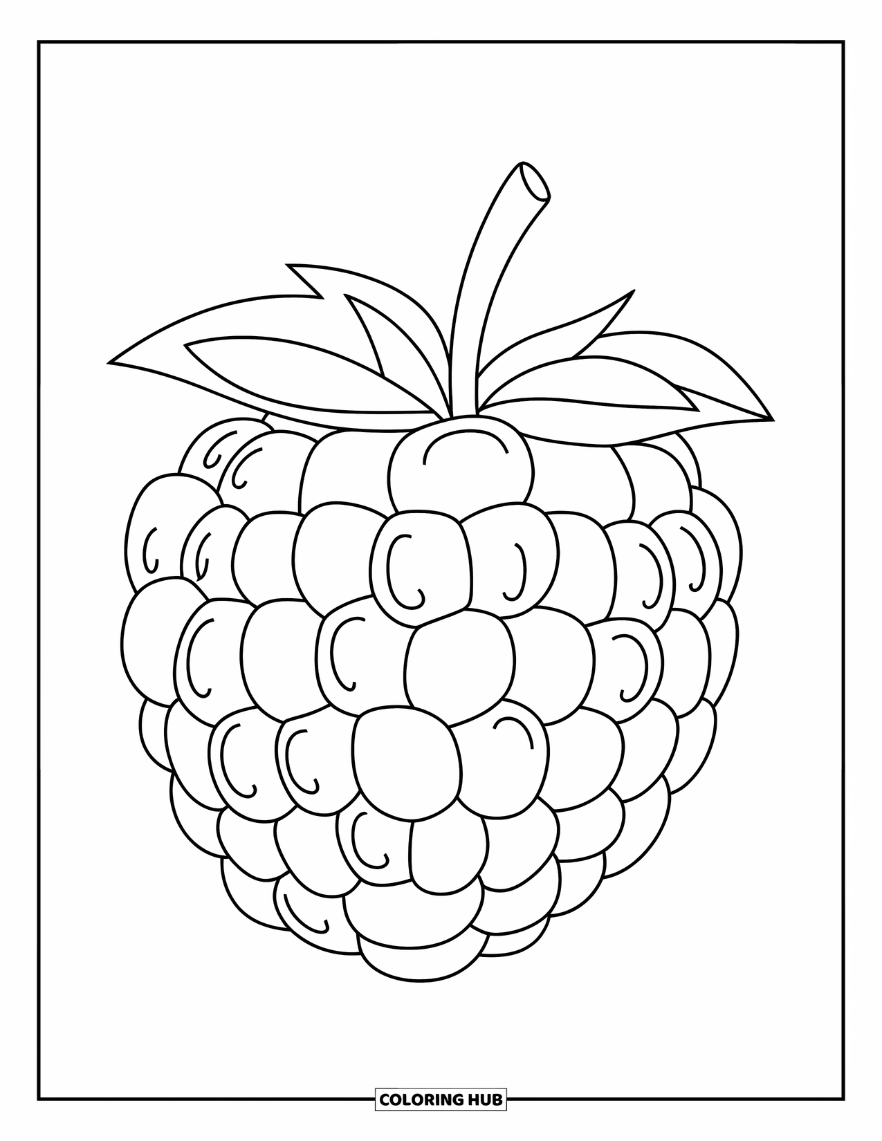 Berry Coloring Page for Kids: Gentle boysenberry design with playful curves and no extra details