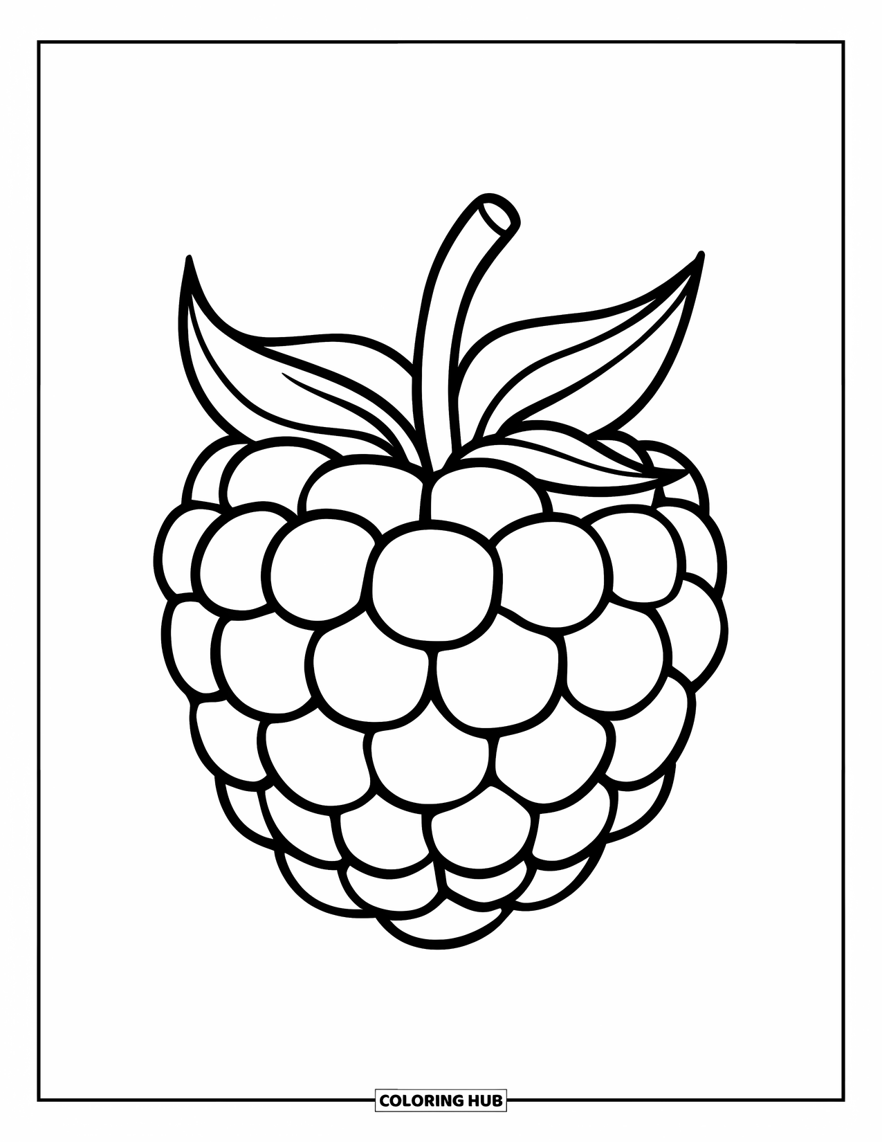 Berry Coloring Page for Kids: Raspberry with bumpy texture and curved lines