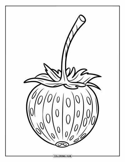 Beeren-Ausmalbild für Kinder: Runde Stachelbeere mit senkrechten Linien und weichen Kurven