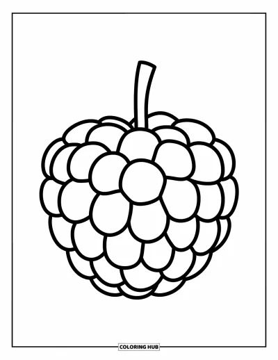 Beeren-Ausmalbild für Kinder: Brombeerdesign mit kräftigen Umrissen und klaren Formen