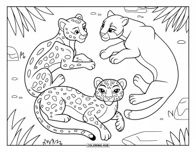 Kleurplaat van grote katachtigen voor kinderen: Cheetah, sneeuwluipaard en poema rustend in een graskring