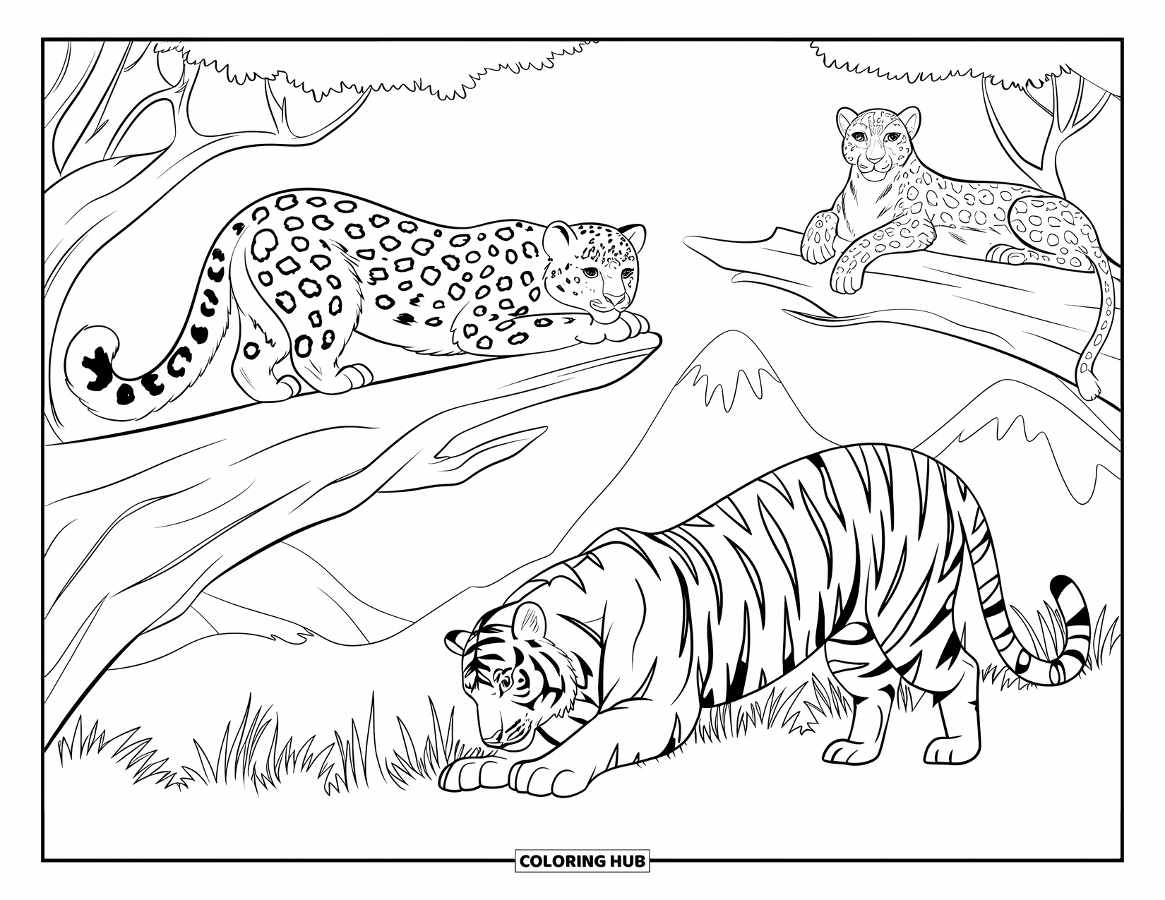 Big Cat Coloring Page for Kids: Three big cats in a rocky, mountainous setting