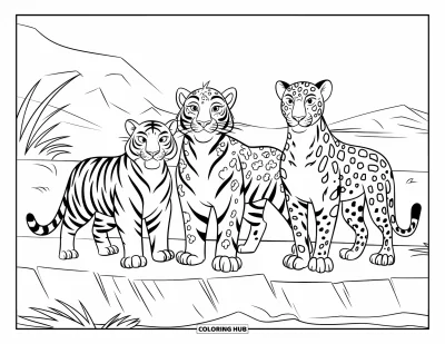 Kleurplaat van grote katachtigen voor kinderen: Tijger, luipaard en jaguar samen staand op een rotsrichel