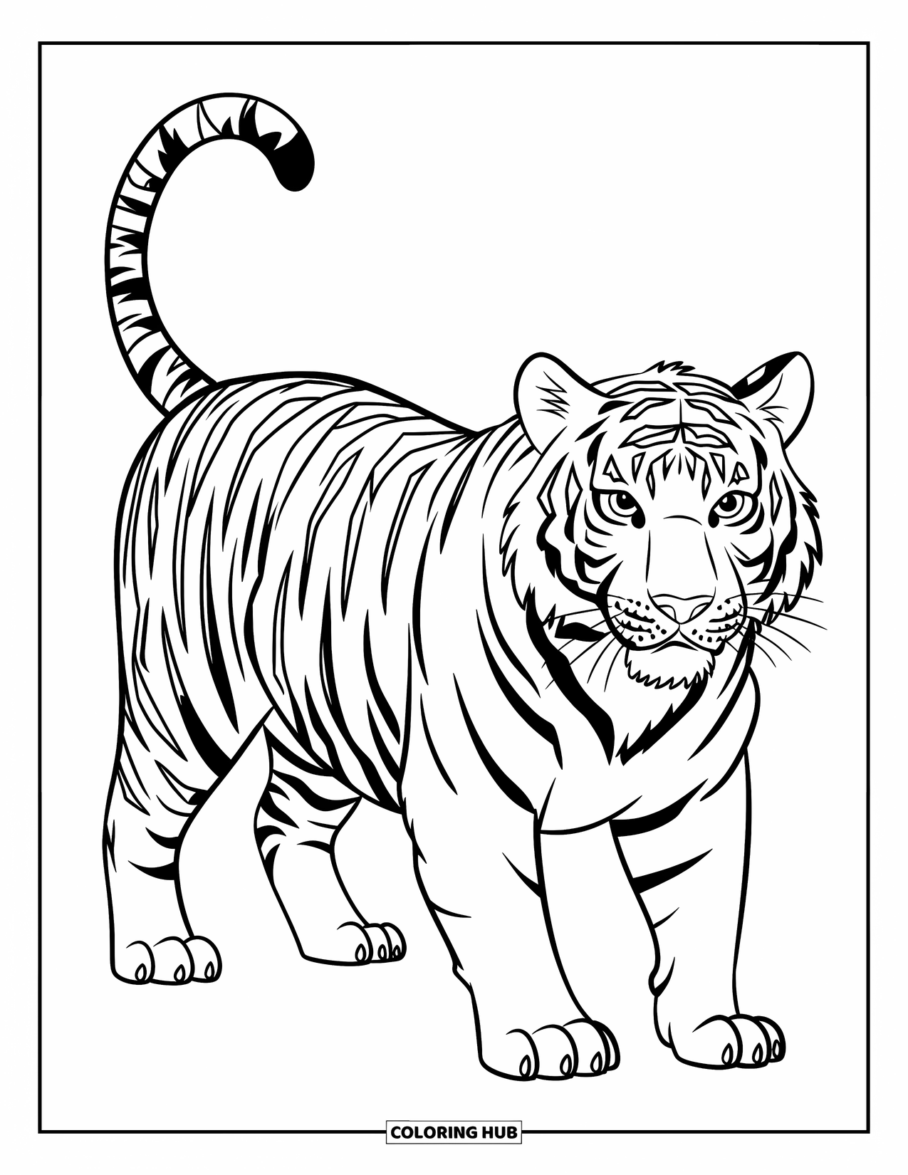 Big Cat Coloring Page for Kids: Tiger with bold stripes standing on plain ground
